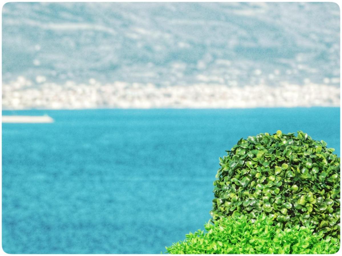 Littlevenice Appartme 50M From Sea Trogir Exteriör bild