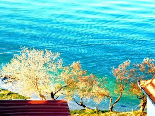 Littlevenice Appartme 50M From Sea Trogir Exteriör bild